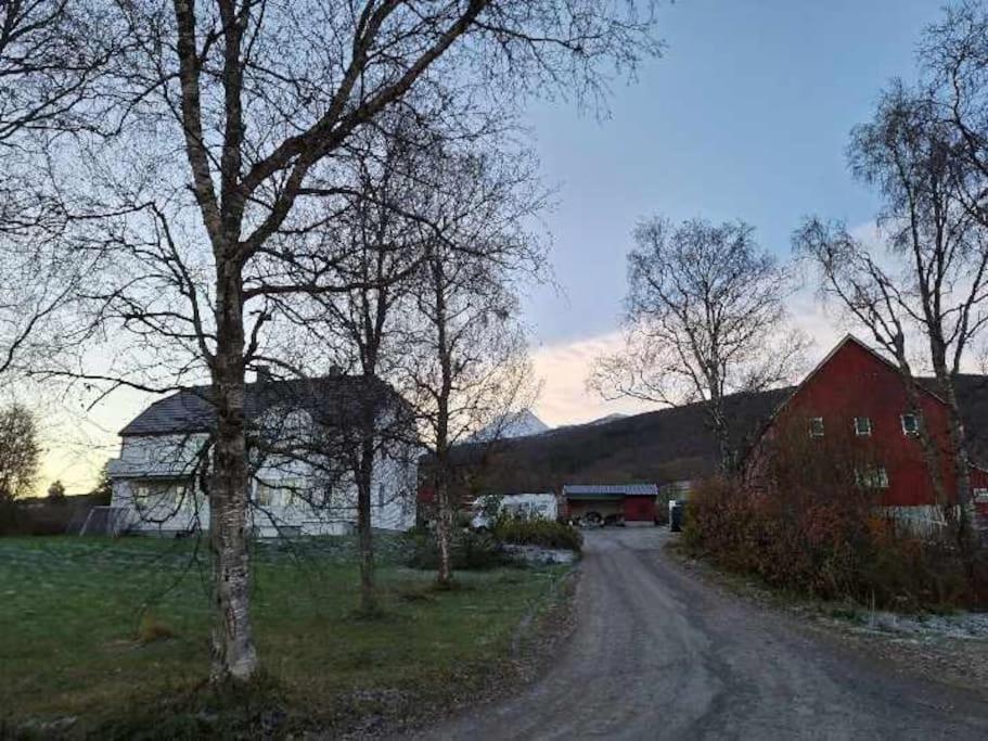 Farmroom With Sauna And Aurora Narvik Exterior photo