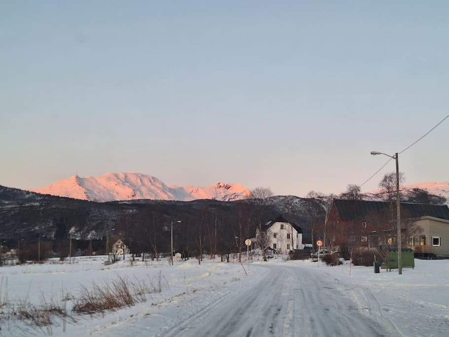 Farmroom With Sauna And Aurora Narvik Exterior photo