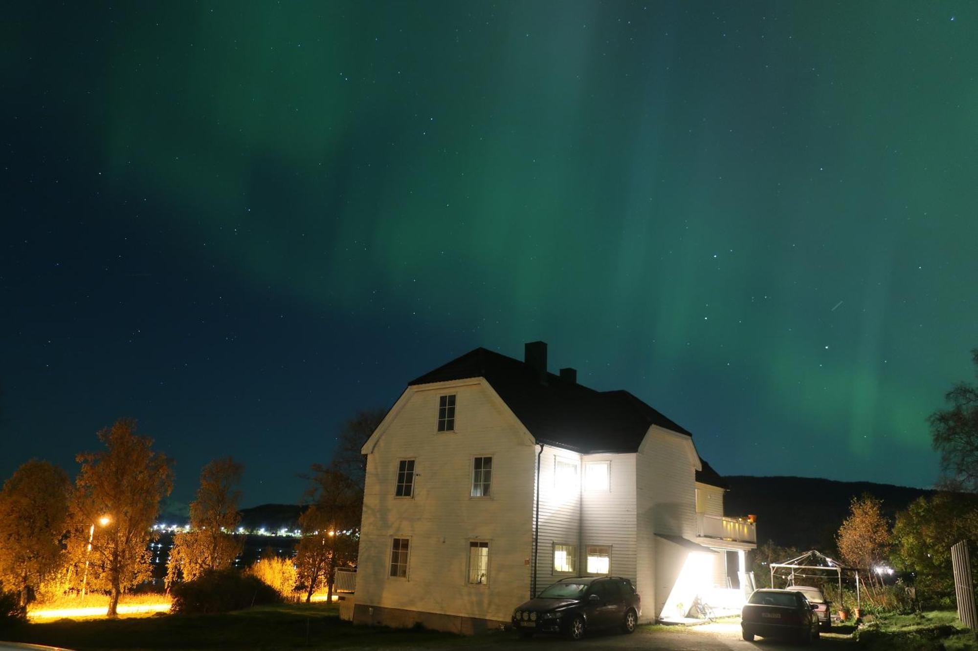 Farmroom With Sauna And Aurora Narvik Exterior photo